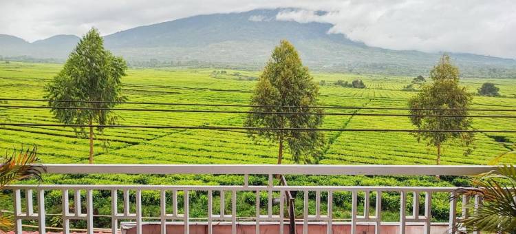 RedDoorz Syariah Near Tugu Macan Kayu Aro图片