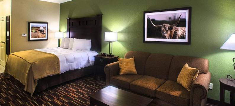 舒适套房酒店(Comfort Inn & Suites)图片