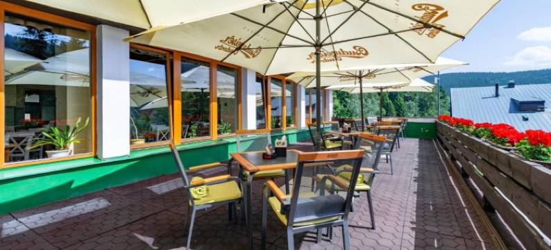 哈拉迟沃帕克酒店(Parkhotel Harrachov)图片