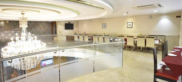 阿米特公园国际酒店(Hotel Amit Park International)图片