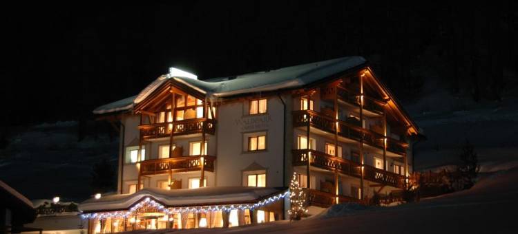 加尼怀特公园酒店(Waldpark Hotel Garni)图片