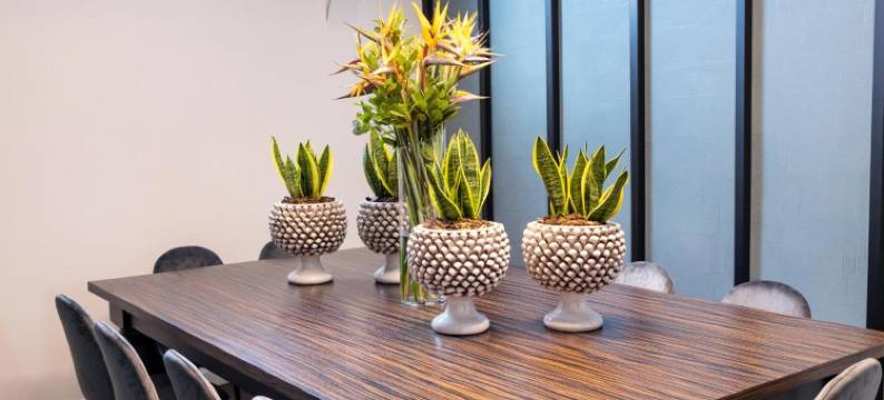 Riflessi 艾西雷亚尼宫殿套房(Riflessi Acireale Palace Suites)图片