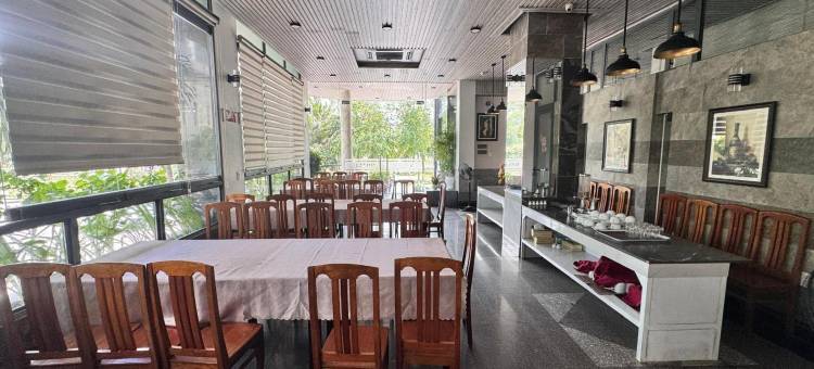 Y灵大酒店(Y Linh Hotel)图片
