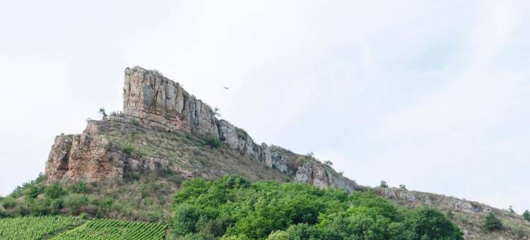 梅肯南部基里亚德直营(HOTEL KYRIAD DIRECT MACON SUD)图片