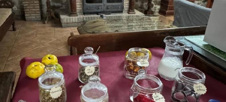 卡索纳酒店(La Casona de Jaraiz)图片