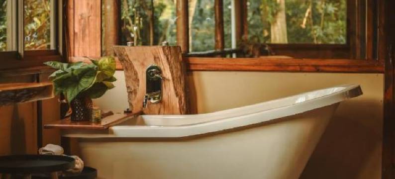 蜜森小屋旅馆(Honeywood Forest Lodge)图片