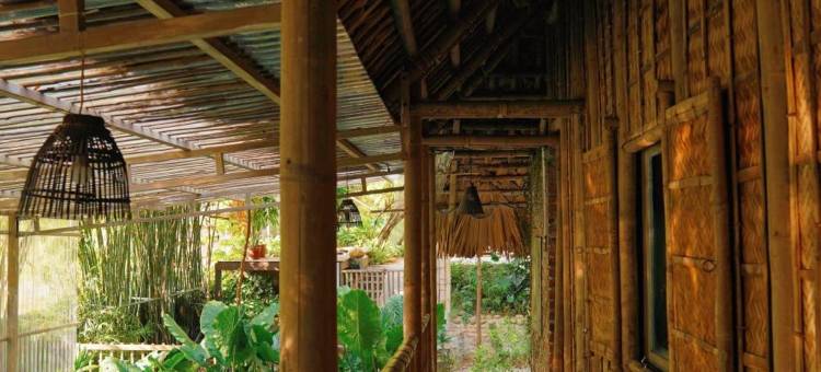 Dinh Gia Trang - Homestay & Coffee图片