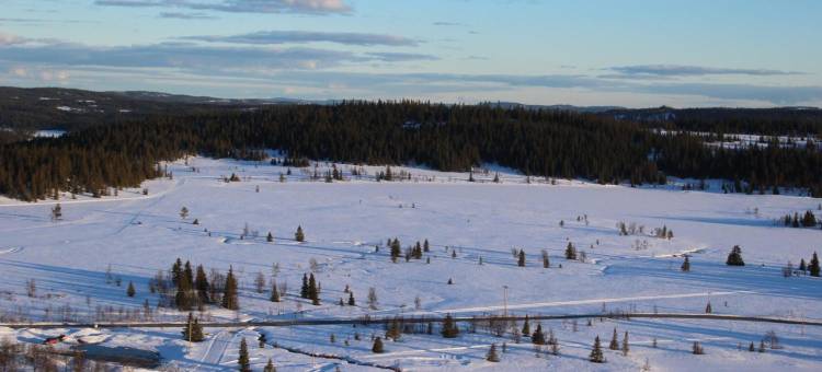 Gamlestølen Fjellstue图片