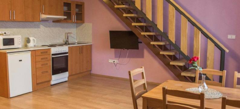 威瑞塔兹旅馆(Penzion Veritas)图片