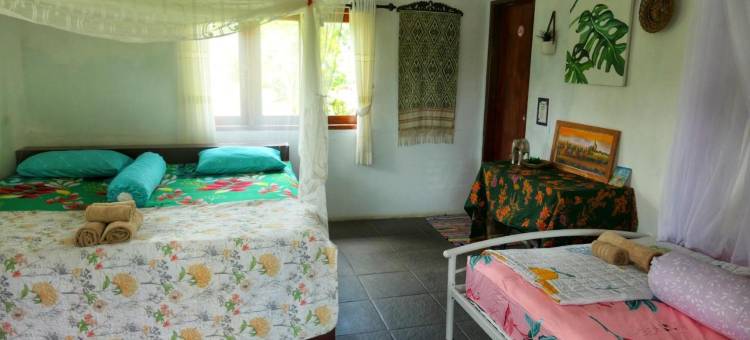 Sumatra Orangutan Discovery Villa图片