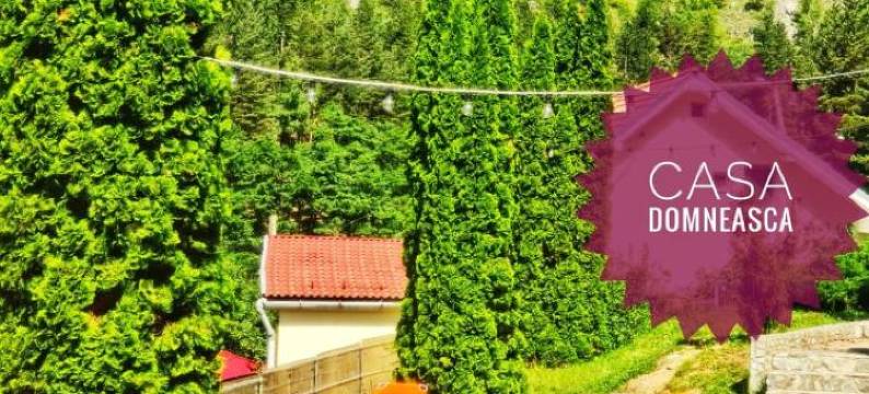 Casa Domneasca图片