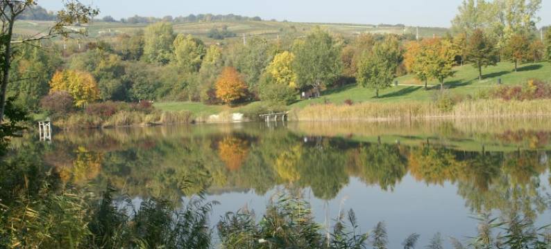贡特拉姆斯多夫怀旧汽车旅馆(Oldtimer Motorhotel Guntramsdorf)图片
