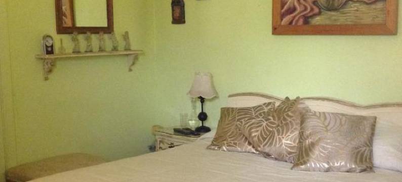 雷诺阿旅馆(Hostal Renoir)图片