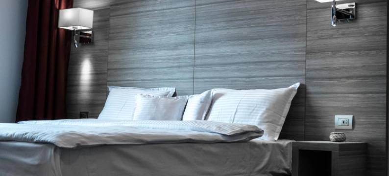 Pensiunea Negoiu图片