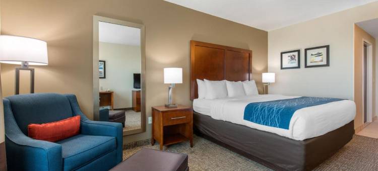 塔瓦雷斯北舒适套房酒店(Comfort Inn & Suites Tavares North)图片