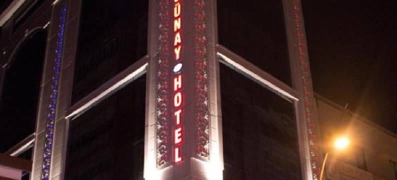 埃拉齐格股奈酒店(Elazig Gunay Hotel)图片