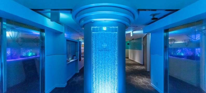 守山水之吻酒店(仅限成人)(Hotel Aqua Kiss Moriyama (Adult Only))图片