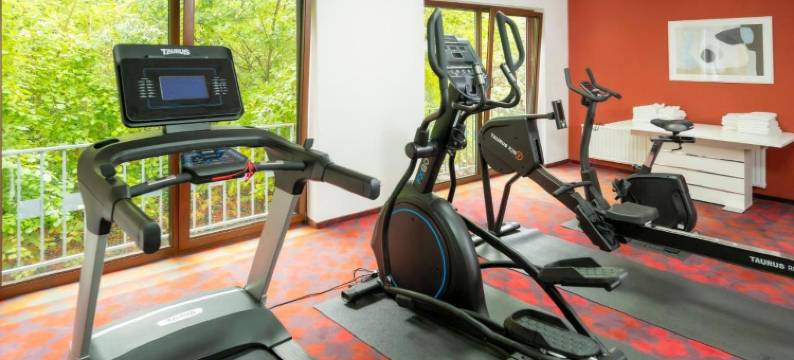 波恩梅根海姆城市酒店(City Hotel Meckenheim)图片