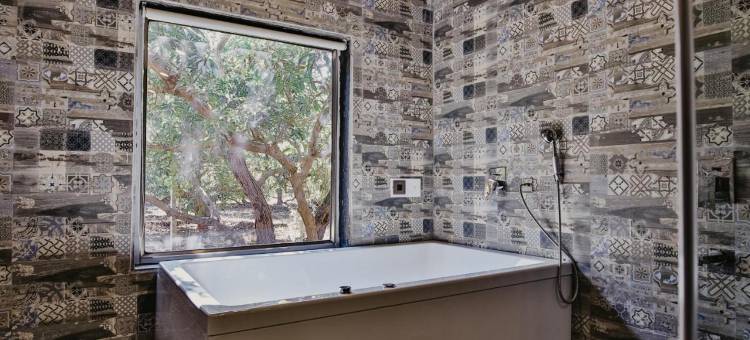 Gir Lion Safari Camp by Trulyy, Sasan Gir图片