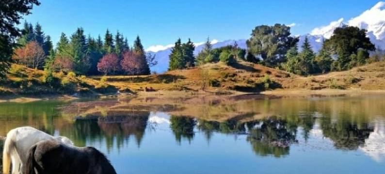 月亮咖啡馆和住宿酒店(Moon Hotel Tungnath)图片
