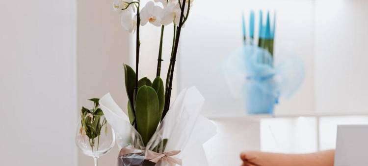 欧洲酒店(Euro Hotel)图片