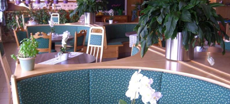 利比内斯特贝格沃特精品酒店(LiebesNesterl Bergwirt - Boutique Hotel)图片