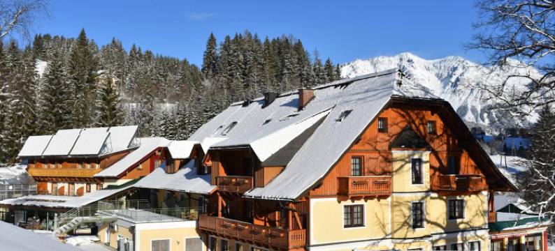 维达莱蓝道尔霍夫酒店(Hotel Vitaler Landauerhof)图片