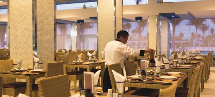 普拉亚卡尔悦宜湾酒店-全包(Riu Playacar - All Inclusive)图片