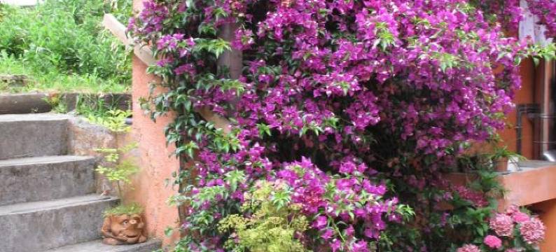 恩卡尔塔德卡萨旅馆(Casa Rural Enkartada)图片