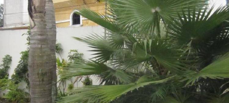 地中海奥托酒店(Auto Hotel Mediterráneo)图片