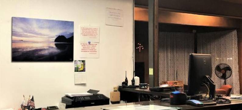 蓝色海岸套房酒店(Blue Coast Inn & Suites)图片