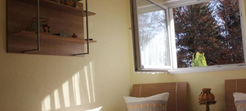 瓦尔德多夫潘森酒店(Pension Walddorf)图片