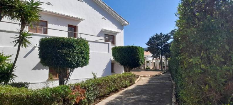 阿尔玛旅馆(Hostal Residencia Alma)图片