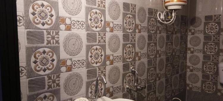 哈维利塔拉加尔宫酒店(Haveli Taragarh Palace)图片