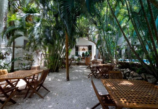 Hotel Casa Barbara Holbox Hotel Overview