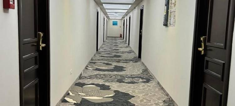比斯特里察酒店(Hotel Bistrita)图片