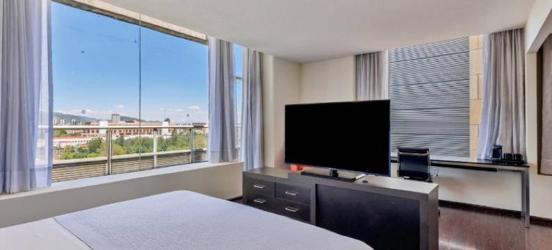 历史中心嘉年华旅馆(Fiesta Inn Centro Historico)图片