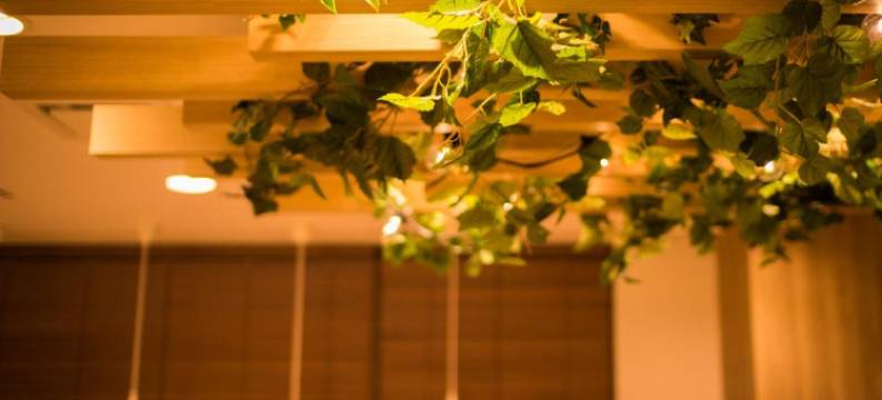 北见超级酒店(Super Hotel Kitami)图片