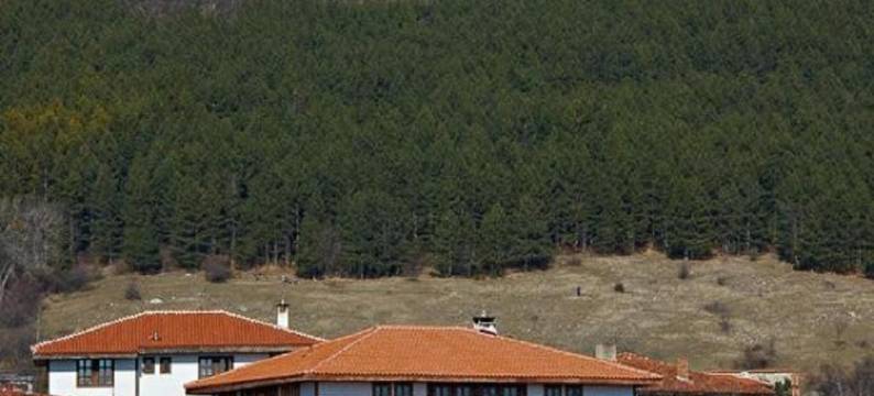 House of Bardo图片