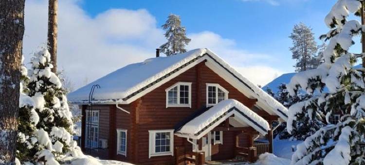 塔科山别墅(Tahko Hills)图片