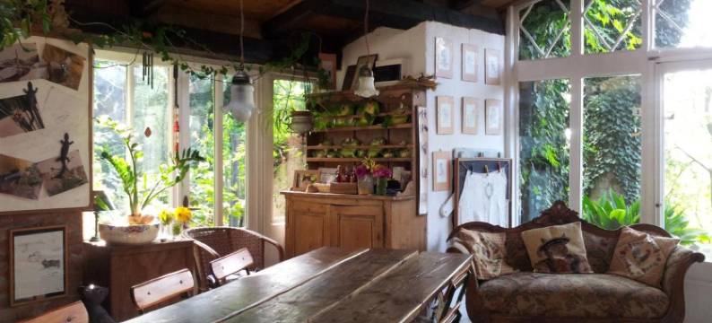 拉揣维尔斯纳酒店(La Traversina)图片