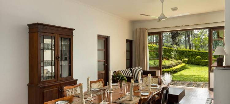 橄榄平房(Olive Bungalow)图片