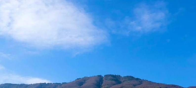 斯特拉海滨民宿(Stella Marina Stabia)图片