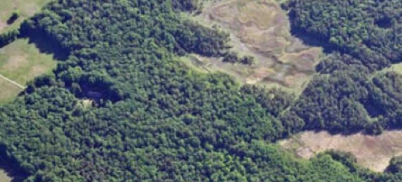 科特卡农场旅馆(Kotka Farm)图片