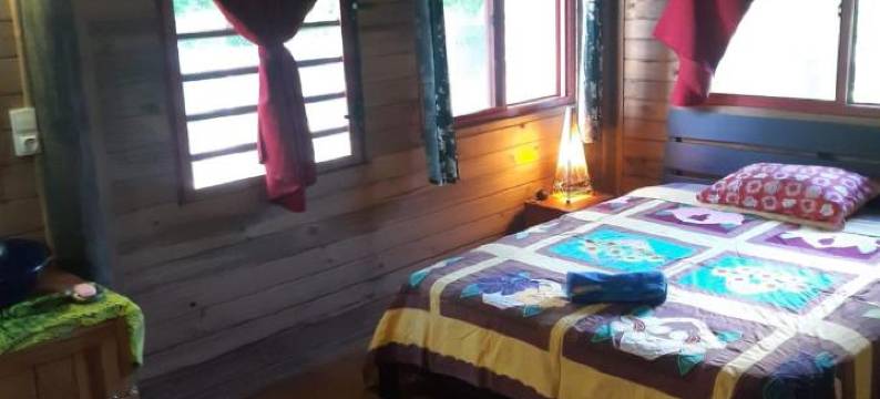 自然歌岛民宿(B & Bee Wild Island - Nature Song)图片