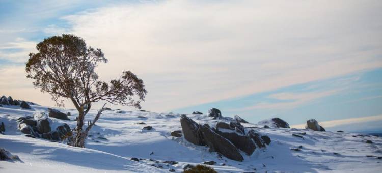 阿尼基滑雪旅馆(Aneeki Ski Lodge)图片