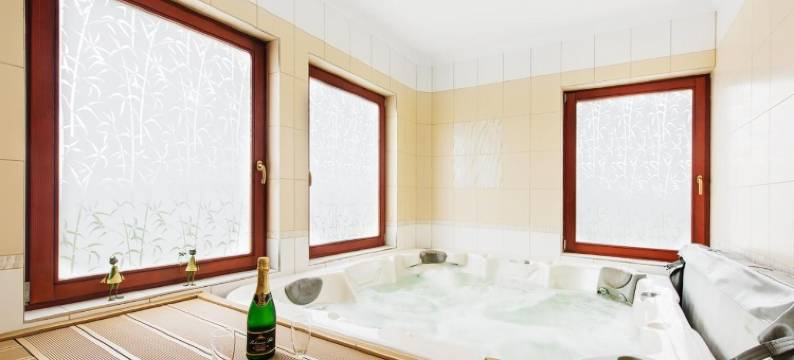 菩提木旅馆(Penzion Putim)图片