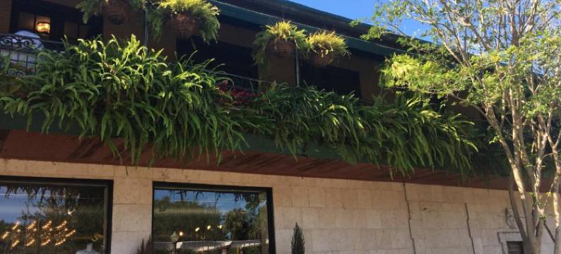 奥兰多公园广场酒店 - 温特帕克(Park Plaza Hotel Orlando - Winter Park)图片