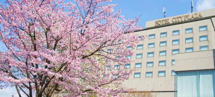 北上城市广场酒店(Hotel City Plaza Kitakami)图片