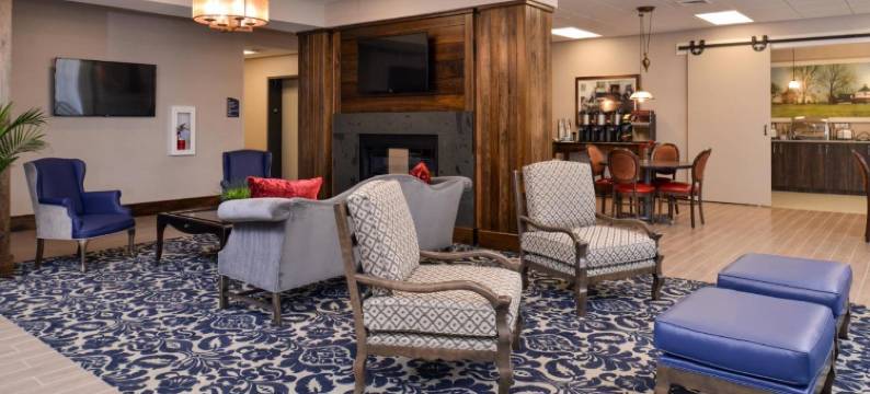 阿波马托克斯套房酒店(Appomattox Inn and Suites)图片